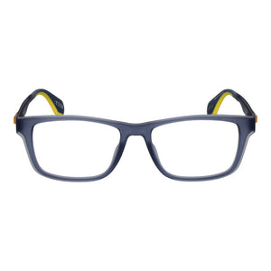 Blue Plastic Glasses (Frames)