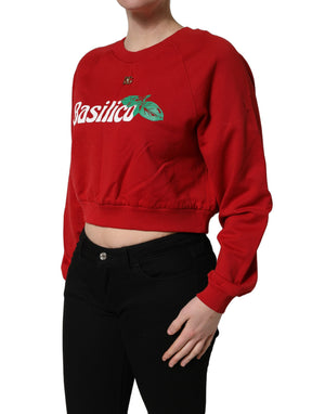 Dolce & Gabbana Roter Baumwoll-Cropped-Sweatshirt-Pullover Basilico