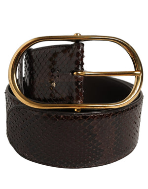 Dolce & Gabbana Brauner Pythonledergürtel mit goldener Metallschnalle