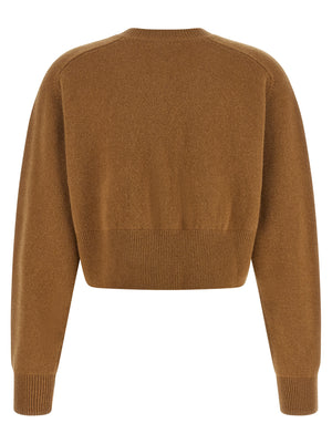 Elisabetta Franchi Brauner Wollcardigan