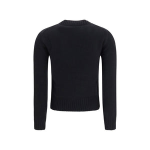 Ami Paris Pullover aus Wolle Oves Aries in Schwarz